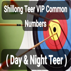 VIP Common Numbers